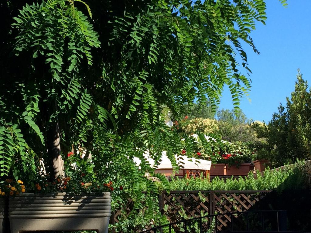Villa Giuliana San Vito Lo Capo Ruang foto